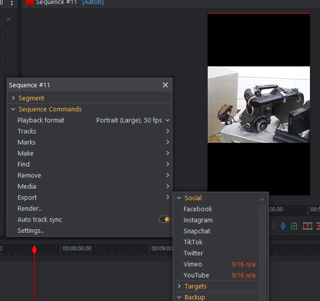 How to export as Portrait aspect ratio? | LWKS Forum