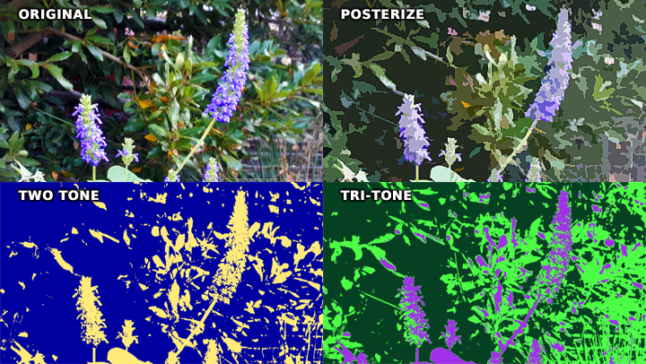 Posterize Effect | LWKS Forum