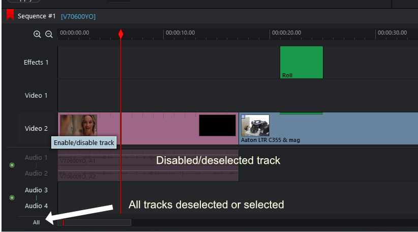 cut only the selected track | LWKS Forum